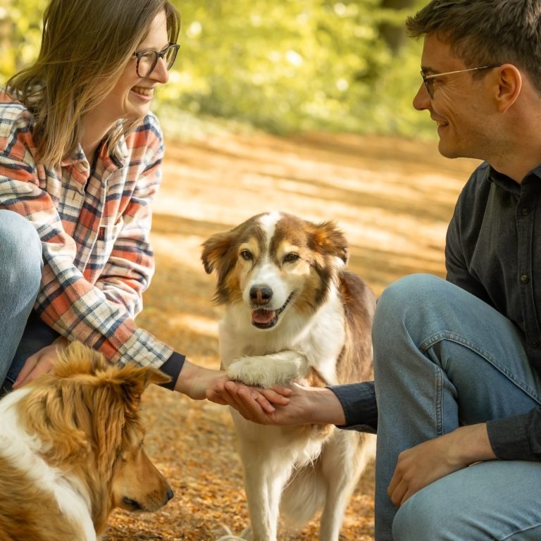 Familienfoto Hunde mit Familie